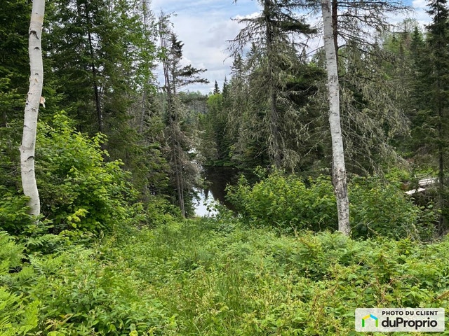 $125,000 - Residential Lot for sale in Péribonka — photo 2