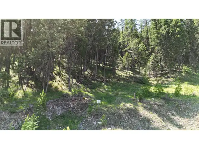 SL59 Osprey Landing View Wardner, British Columbia in Land for Sale in Cranbrook - Image 5