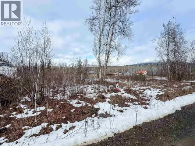 2 5115 SWANNELL DRIVE Hazelton, British Columbia in Land for Sale in Smithers - Image 3