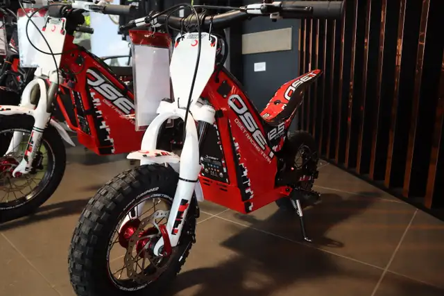 2023 OSET 12.5R Red in Scooters & Pocket Bikes in Edmonton - Image 5