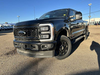 Welcome to Freedom Ford. The 2024 Ford Super Duty is a great vehicle for those drivers who need more... (image 1)