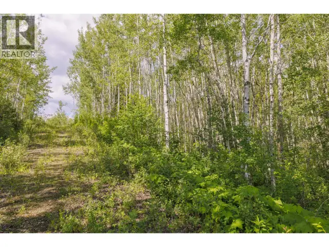 DL 5314 HORSESHOE LAKE ROAD McBride, British Columbia in Land for Sale in Quesnel - Image 5
