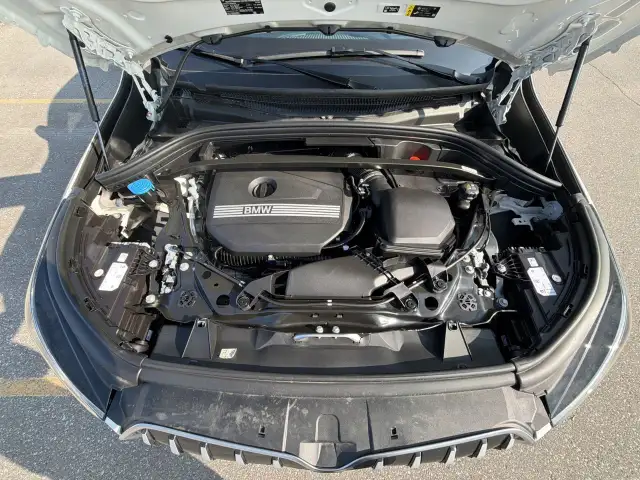 2023 BMW X15606455658322534431