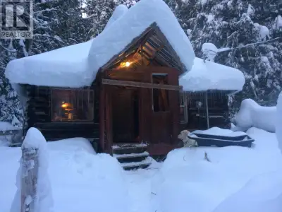 The cabin is rustic-bathroom-outhouse no hookups-old fashion bucket well, land is gently sloping and...