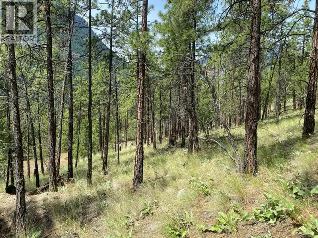 101 AIRPORT Road Lillooet, British Columbia in Land for Sale in Whistler - Image 12