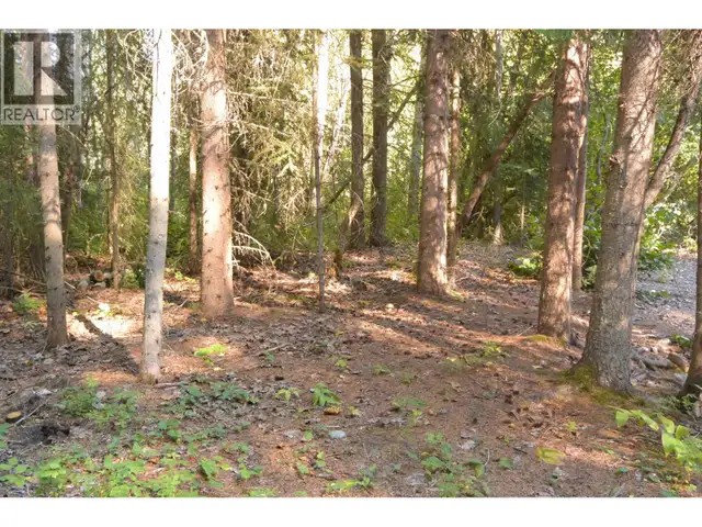 6035 OLD BABINE LAKE ROAD Smithers, British Columbia in Houses for Sale in Smithers - Image 36