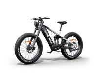 D7 Pro 1000W Mid-Drive Motor Full Suspension Fat Tire Ebike 160N