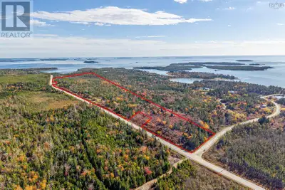Property Highlights 53.8 Acres on Marine Drive (Trunk 7) Size: 53.80 acres of mature forest (spruce,...