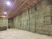 Hay for sale in small squares