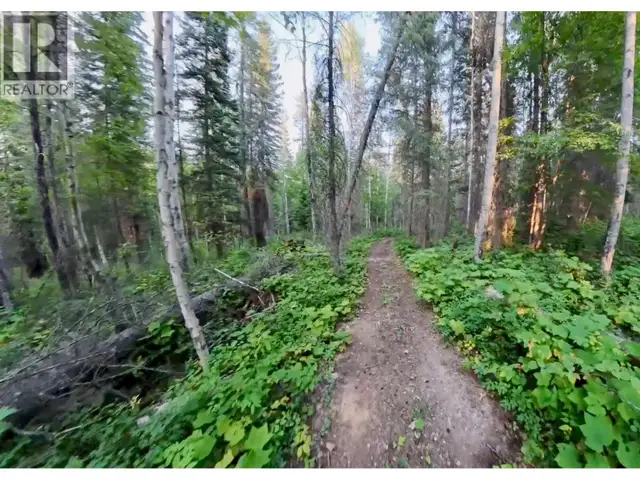 Lot 1 Neville Road Golden, British Columbia in Land for Sale in Revelstoke - Image 20