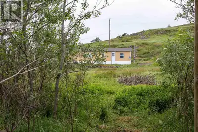 Land For Sale in the Historic Town of Bonavista! Located in a quiet residential area in a popular to...