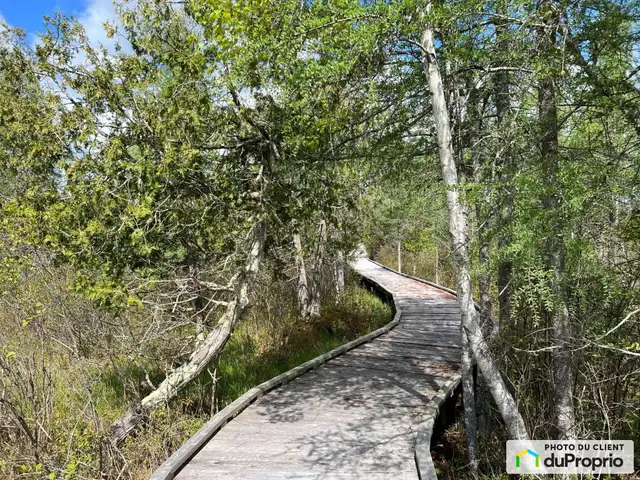 $249,000 - Price taxes not included - Residential Lot for sale in Land for Sale in Thetford Mines - Image 6