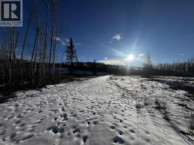 170-180 LANGLEY AVENUE Fraser Lake, British Columbia in Land for Sale in Burns Lake - Image 20