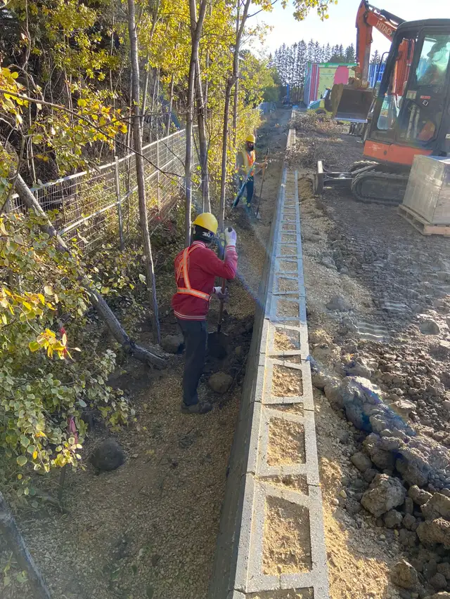 Landscape/Tree Removal/ Asphalt/ Demolition62863722230145122