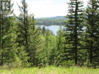 LOT 4 N BONAPARTE ROAD Bridge Lake, British Columbia 100 Mile House Cariboo Area Preview