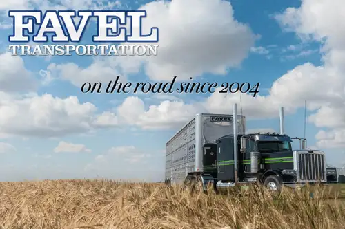**Join Our Team as a Livestock Owner Operator!** Are you a dedicated, skilled, and experienced lives...