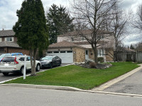 6 Bedroom - Bramalea/ Williams Pkwy