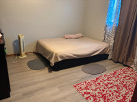 Nice 1 Bedroom is available 1 September or later in well maintained building in Kitchener. It is onl... (image 7)