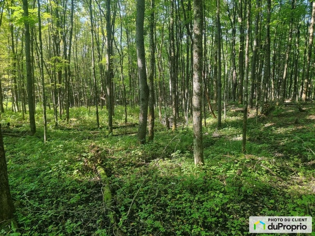 $1,650,000 - Land to be developed for sale in Austin — photo 2