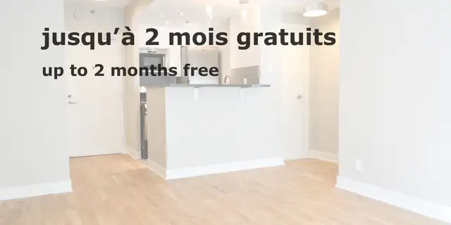Renovated One-Bedroom Apartment Near McGill - ID 1615