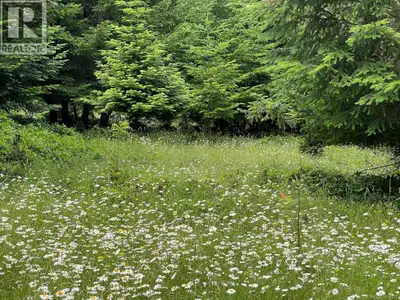 Homestead opportunity on a well shaped and gently sloping 9.20 acre parcel in the midst of neighbour...