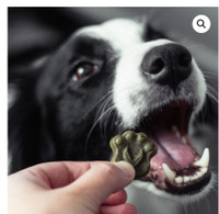 Green Paws Glucosamine Dog Treats