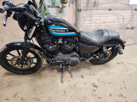 2019 Harley Davidson Sportster 1200 Iron Motorcycle