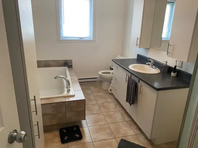 Grand 5-1/2 lumineux avec beaucoup de rangement in Long Term Rentals in Trois-Rivières - Image 8