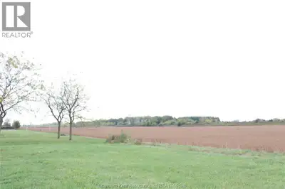 This 24 acres approximate of vacant land is in Blenheims industrial subdivision. The land has been m...