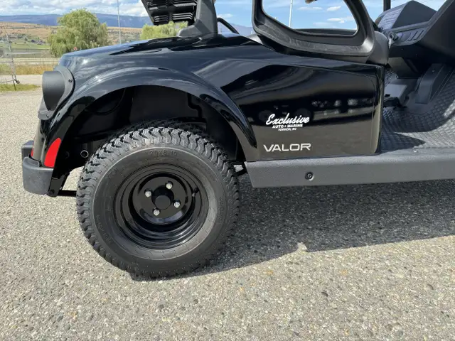 2025 EZGO Valor EX1 -Best Golf Cart,by Textron in ATVs in Vernon - Image 11