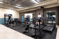 Visitez notre site Web : https://www.capreit.ca/fr/appartements-a-louer/montreal-qc/le-2250-guy/ Cet... (image 4)