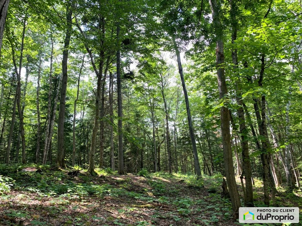 $85,000 - Price taxes not included - Residential Lot for sale — photo 3
