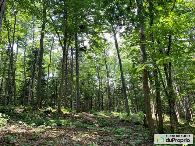 $85,000 - Price taxes not included - Residential Lot for sale — photo 3