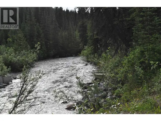 DL 6349 CASSIAR ROAD Cassiar, British Columbia in Houses for Sale in Smithers - Image 8