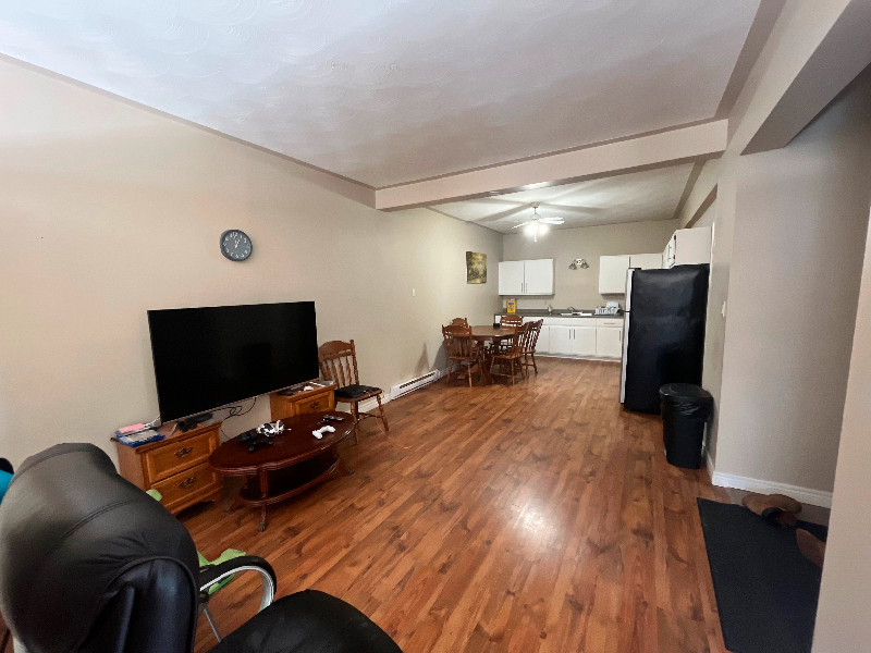 Large 1 Bedroom Apartment Tillsonburg Long Term Rentals Norfolk