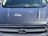 Double L Motors Ltd. FOR SALE: 2019 Ford Escape SEL 4WD – Loaded, Comfortable Value Priced, This Veh... (image 2)
