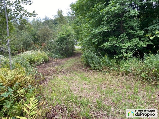 $229,000 - Residential Lot for sale in Ste-Beatrix — photo 3
