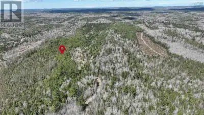 Escape to your own secluded sanctuary on this sprawling 52.34-acre parcel of land nestled in the hea...
