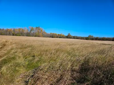 17.5 Acre lot on Kam River just around the corner from the Stanley Hotel, 2 wells on undeveloped lan...