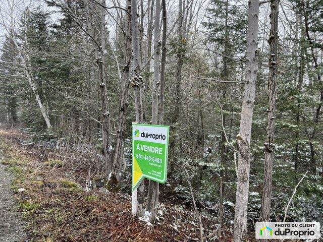 38 800$ - Prix taxes en sus - Terrain résidentiel à vendre dans Terrains à vendre  à Lévis - Image 3