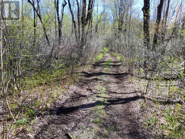 0 TOTEM RANCH ROAD Edwardsburgh/Cardinal, Ontario in Land for Sale in Woodstock - Image 8