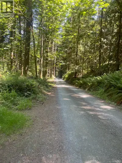 23.8 acres of beauty! 2 drilled wells, with very good flow and good access. Hydro has been dropped t...