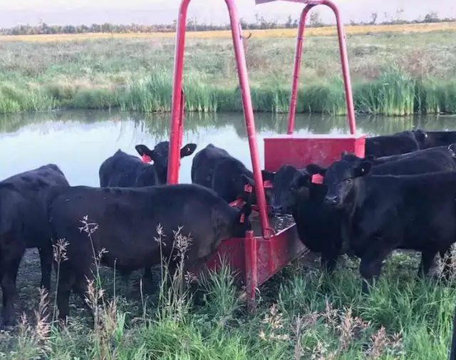 Solar Powered Cattle Watering System62864364017026121