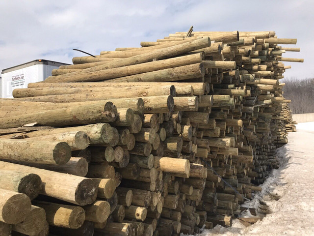 Poteaux de bois traité de 8 pieds (piquets de clôture) dans Autre  à Drummondville - Image 3