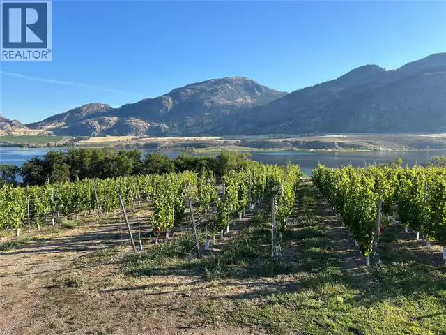 9425 87TH Street Osoyoos, British Columbia in Houses for Sale in Penticton - Image 9