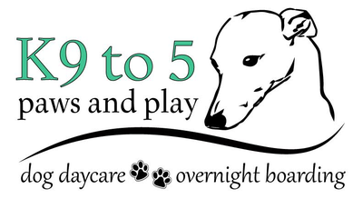K9to5 Paws & Play Dog Daycare & Boarding, View more