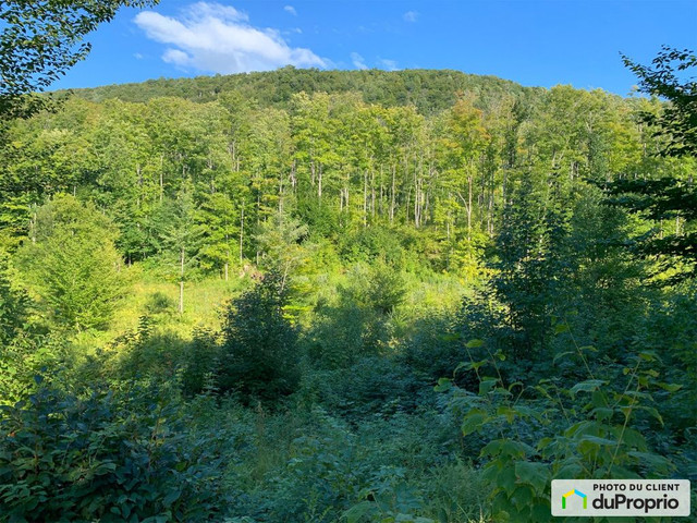 379 000$ - Terrain résidentiel à vendre à Bolton-Est dans Terrains à vendre  à Sherbrooke - Image 2