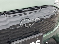 Unleash the electrifying performance and stunning style of the 2025 Ford Mustang Mach-E GT. This pow... (image 8)