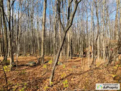 Vivez le rêve de la nature et du plein air! Superbe terrain sur la montagne de Rigaud, tout juste à...
