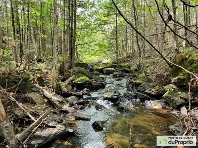Terrain vacant de 4.79 acres avec ruisseau, près de l'hôtel de ville et station de pompiers. Situé à...